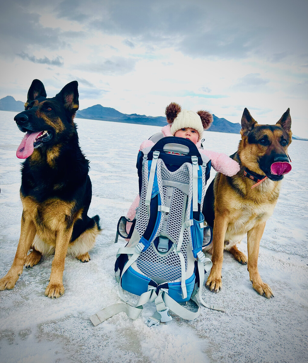 Baby with German Shepherds Henry and Mila on the salt flats